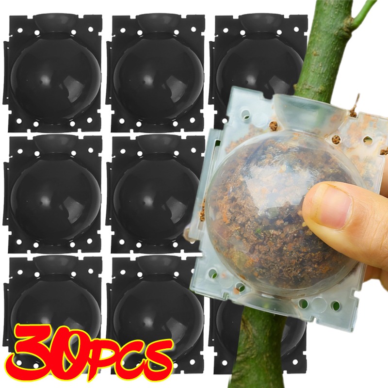 Plant Parents - Herramientas de injerto con bola de