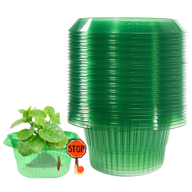 Plant Parents - Anillos de protección de lodo para