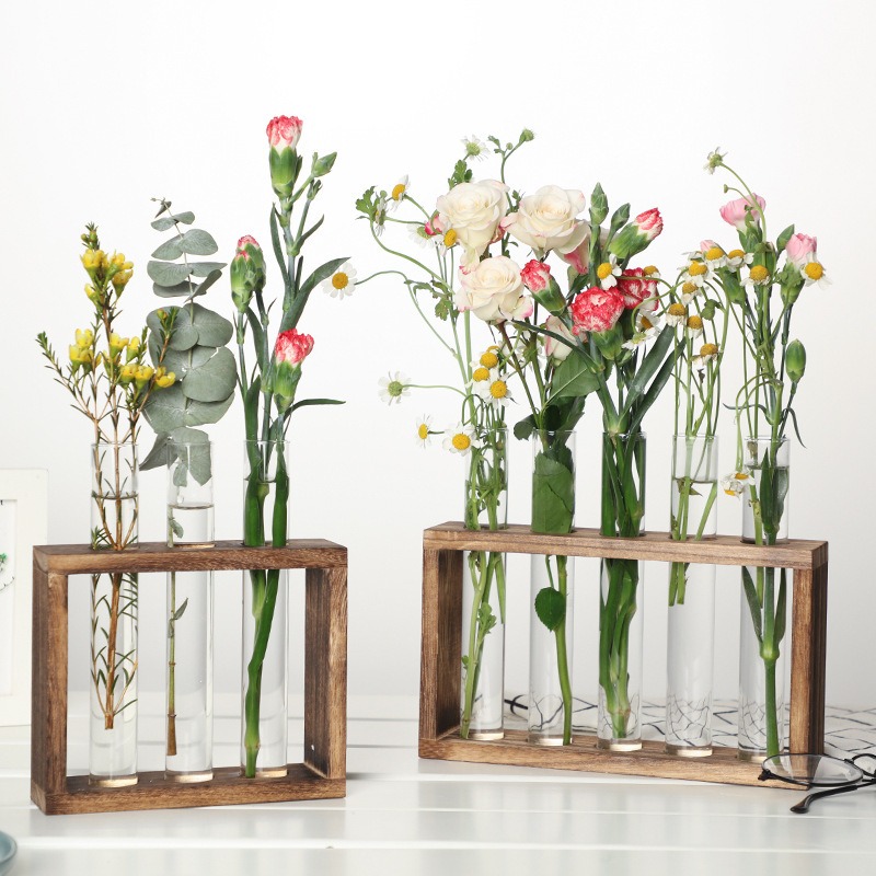 Plant Parents - Macetero hidropónico de vidrio de 5
