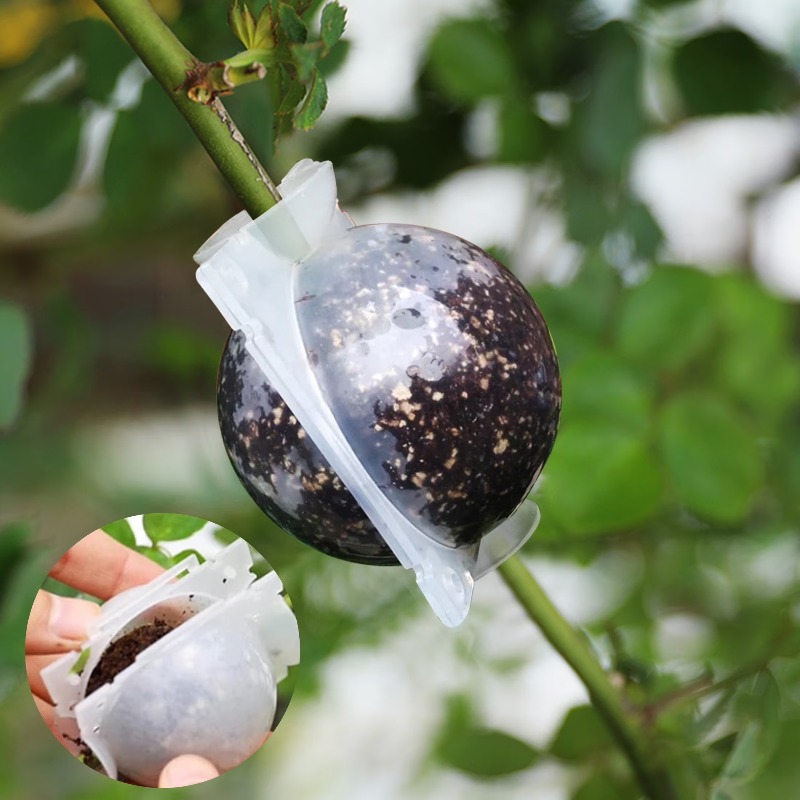 5/30 Piezas Bolas de Enraizami - Plant Parents reseña y precio
