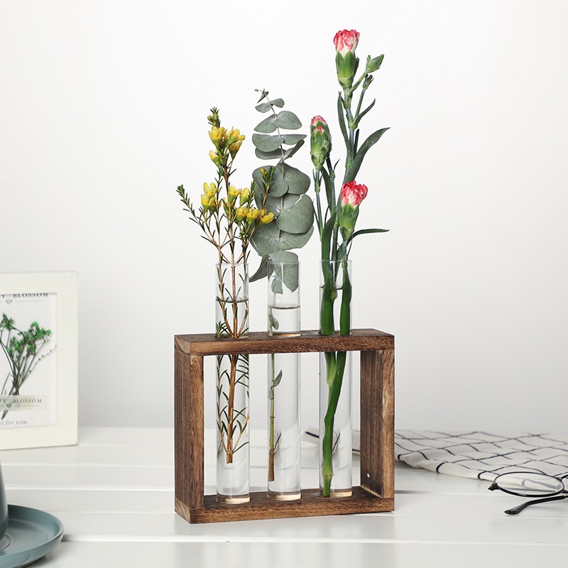 Macetero hidropónico de vidrio - Plant Parents reseña y precio