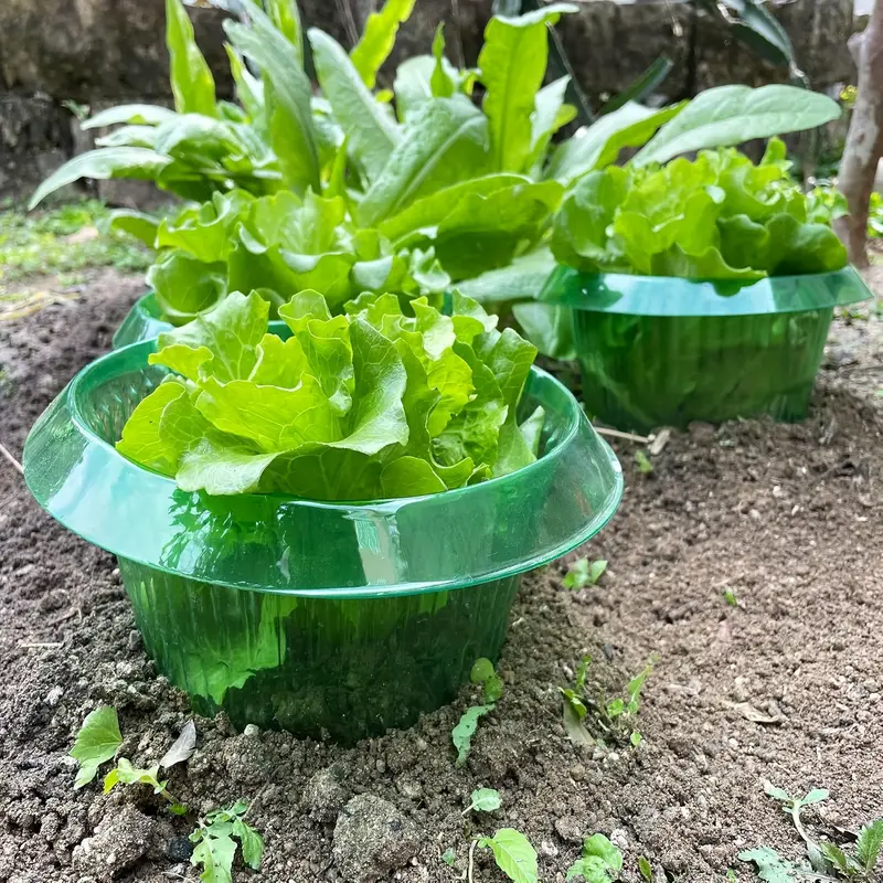 Anillos de protección de lodo  - Plant Parents reseña y precio