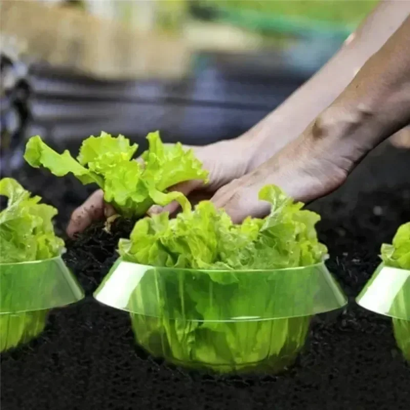 Anillos de protección de lodo  - Plant Parents reseña y precio