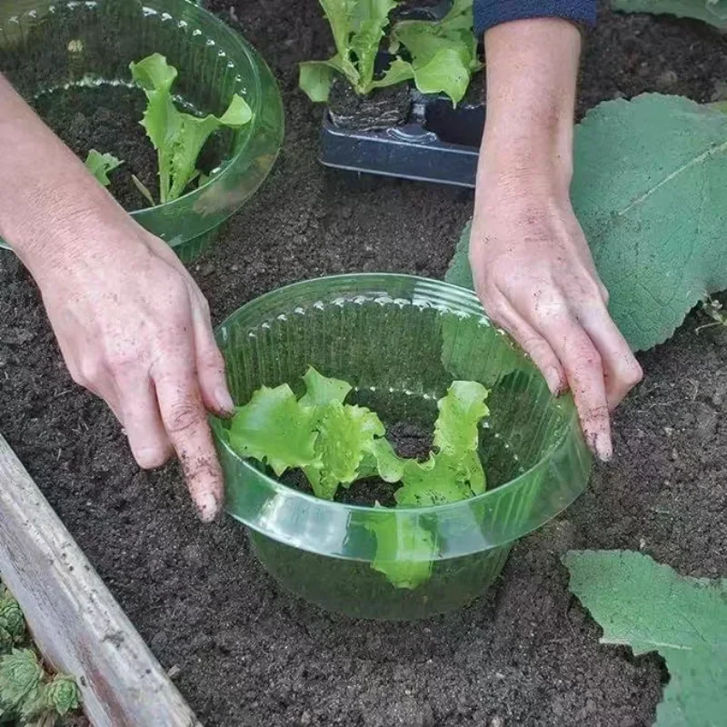 Anillos de protección de lodo  - Plant Parents reseña y precio